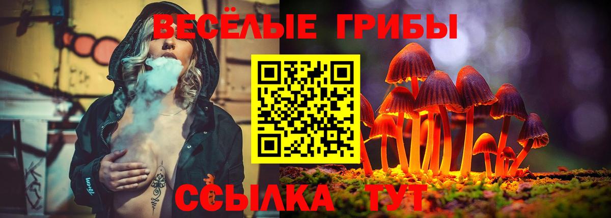 Псилоцибиновые грибы мухоморы  Псилоцибиновые грибы мицелий  Приморско-Ахтарск  купить наркотики сайты  Вход с VPN 